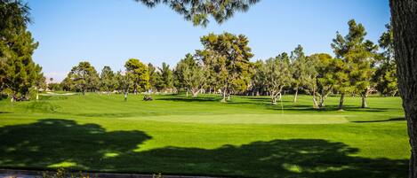 A well-maintained golf course with a clear sky, lush green grass, and a variety of trees.