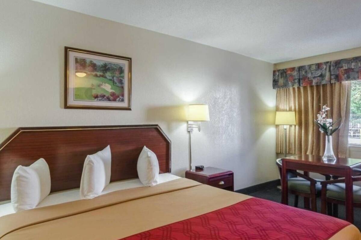 Iron/ironing board, free cribs/infant beds, rollaway beds, free WiFi