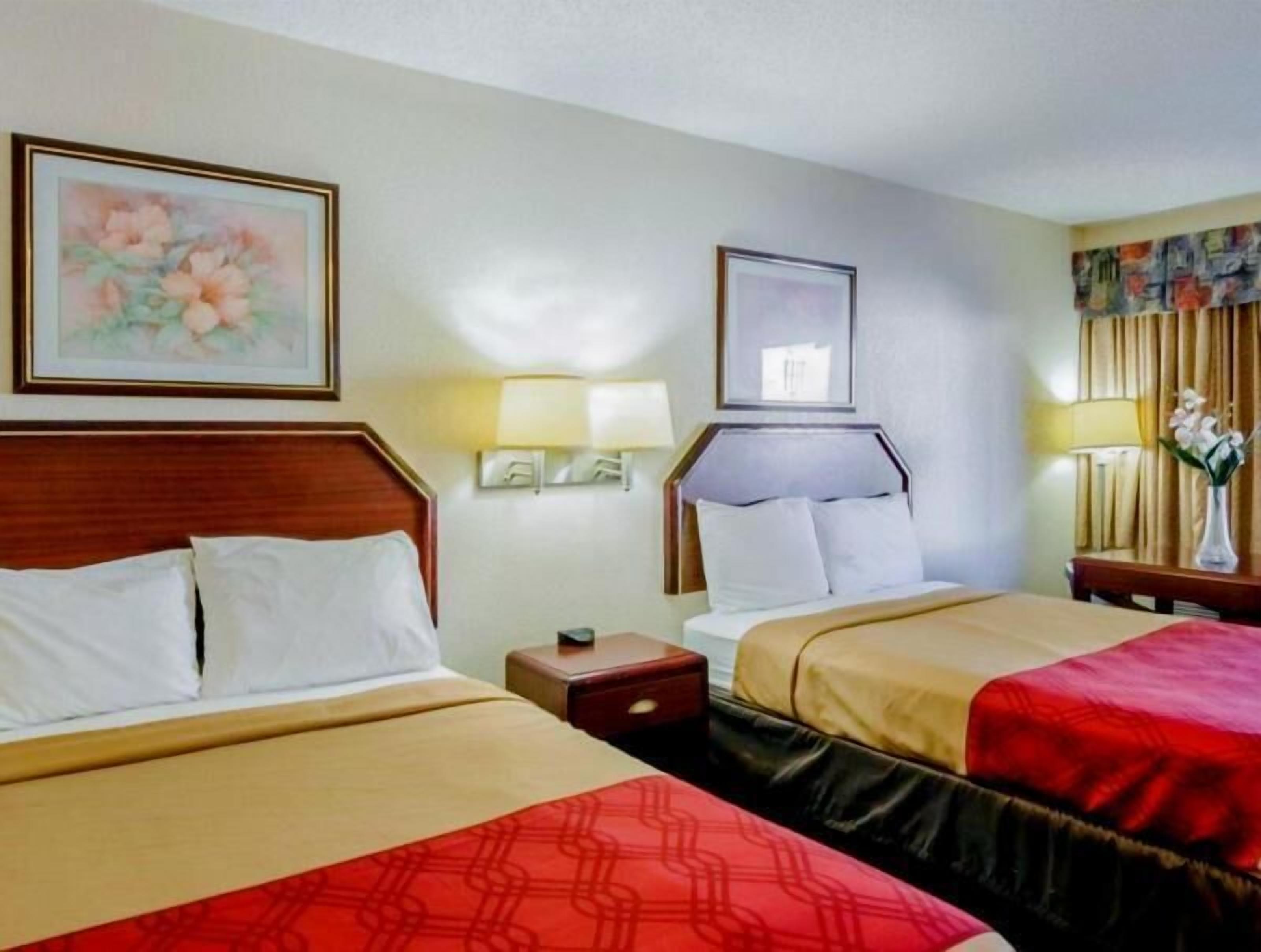 Tabla de planchar con plancha, cunas gratuitas y camas extra 