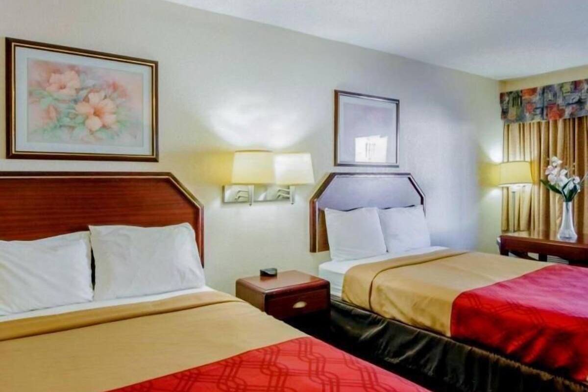 Iron/ironing board, free cribs/infant beds, rollaway beds, free WiFi