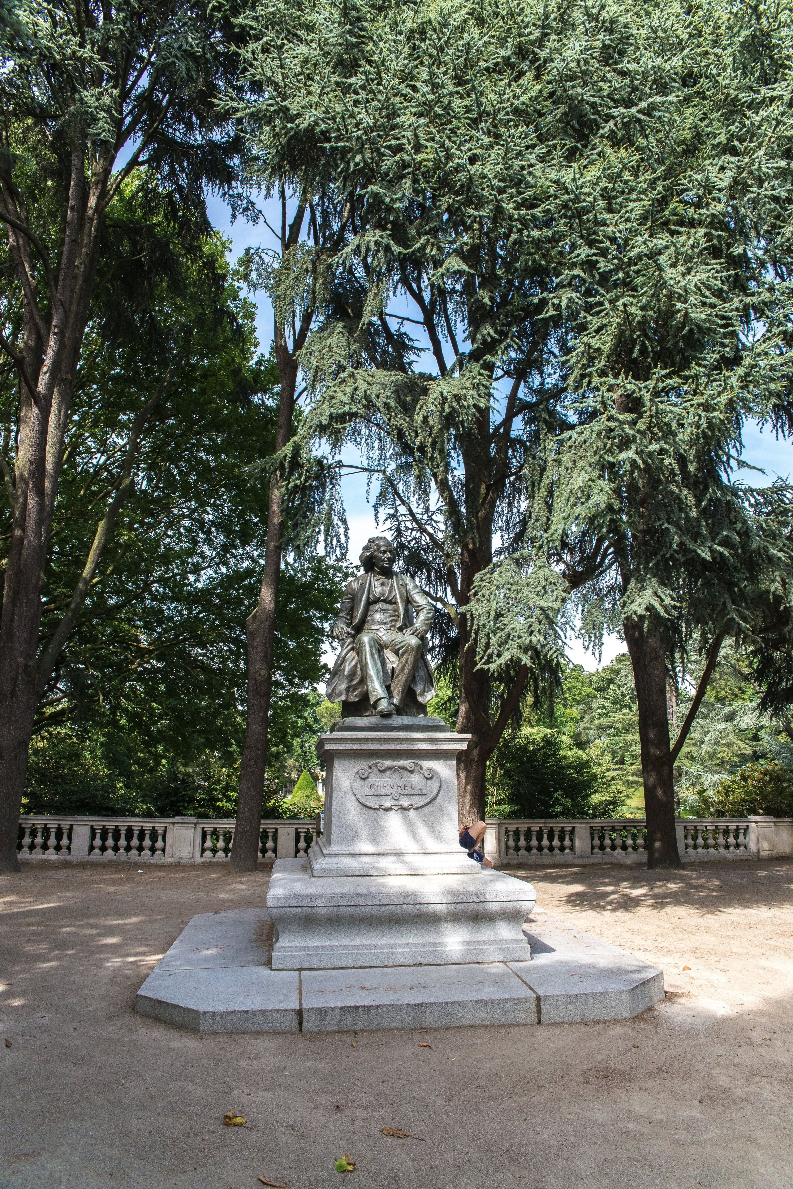 Vista des de l'allotjament