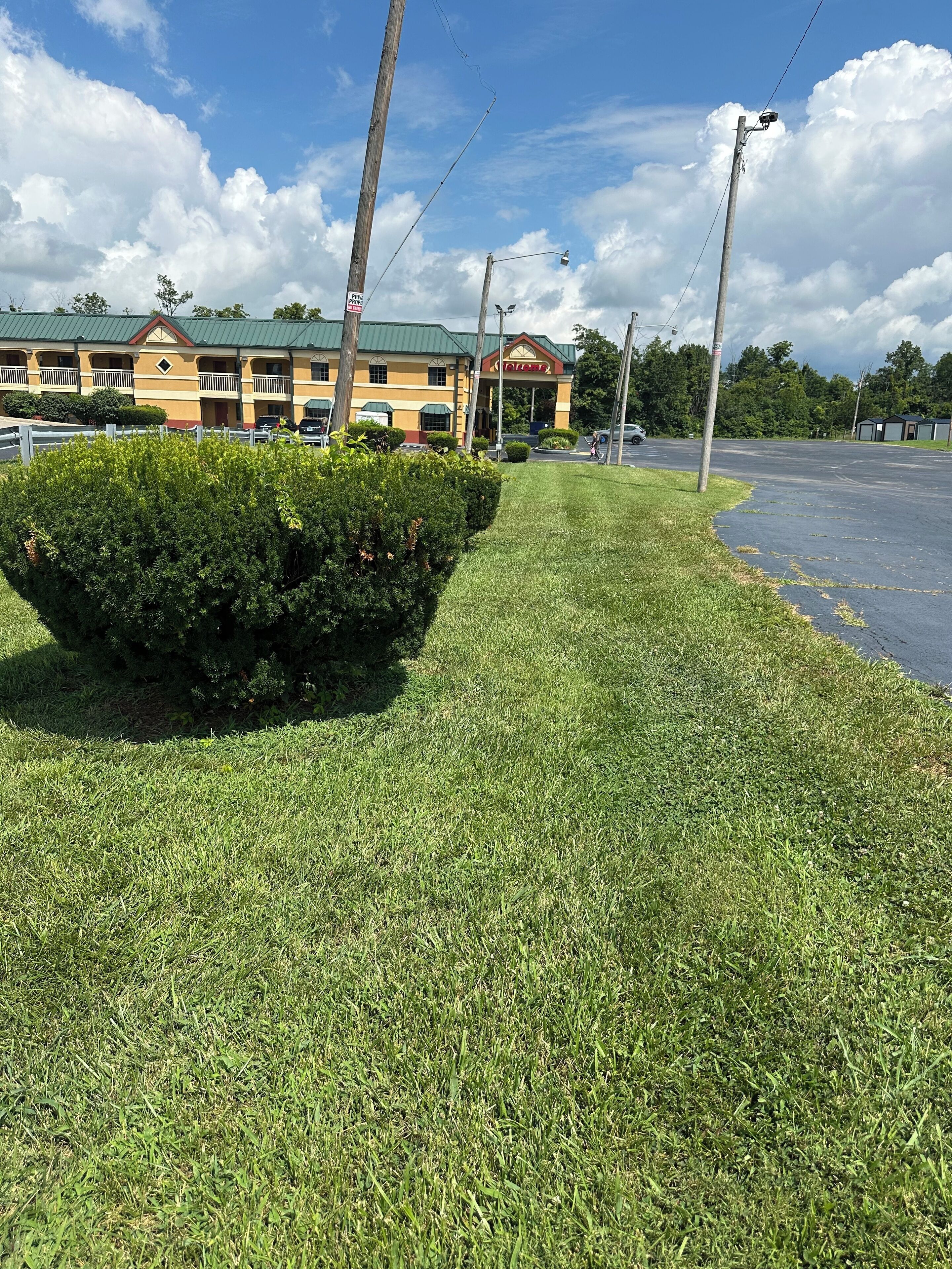 A well-maintained grassy area with a neatly trimmed bush, a building with a green roof, and a clear sky.