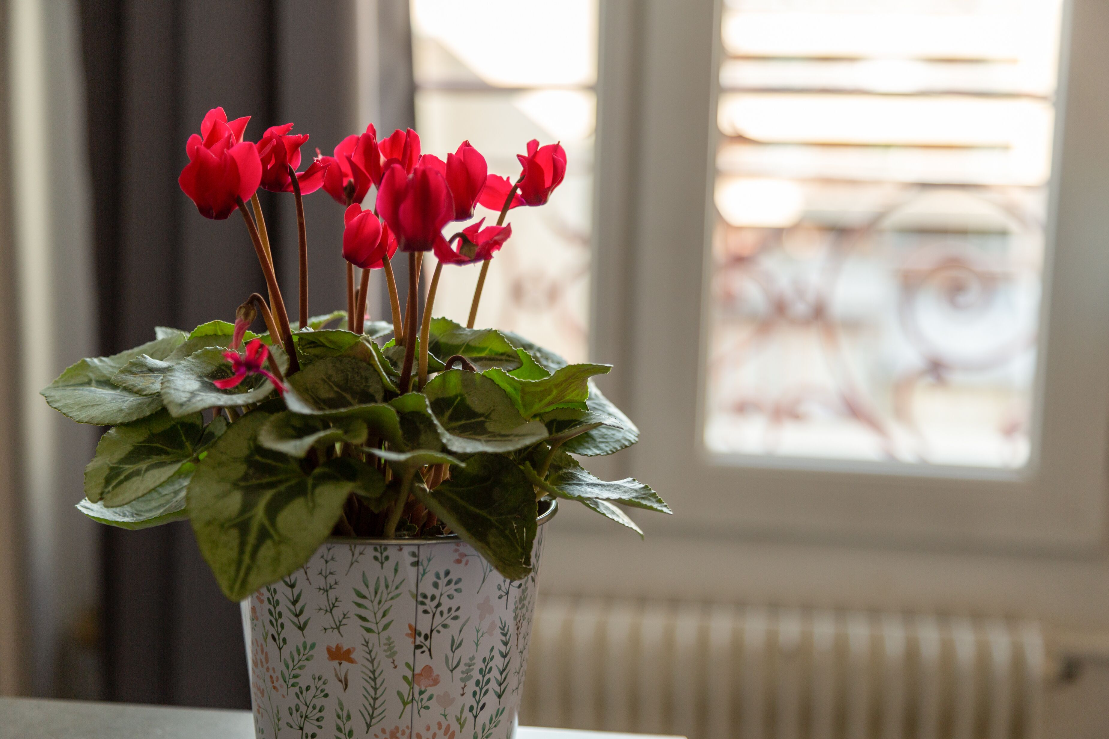 Photo - Hôtel Lecourbe, Paris Tour Eiffel