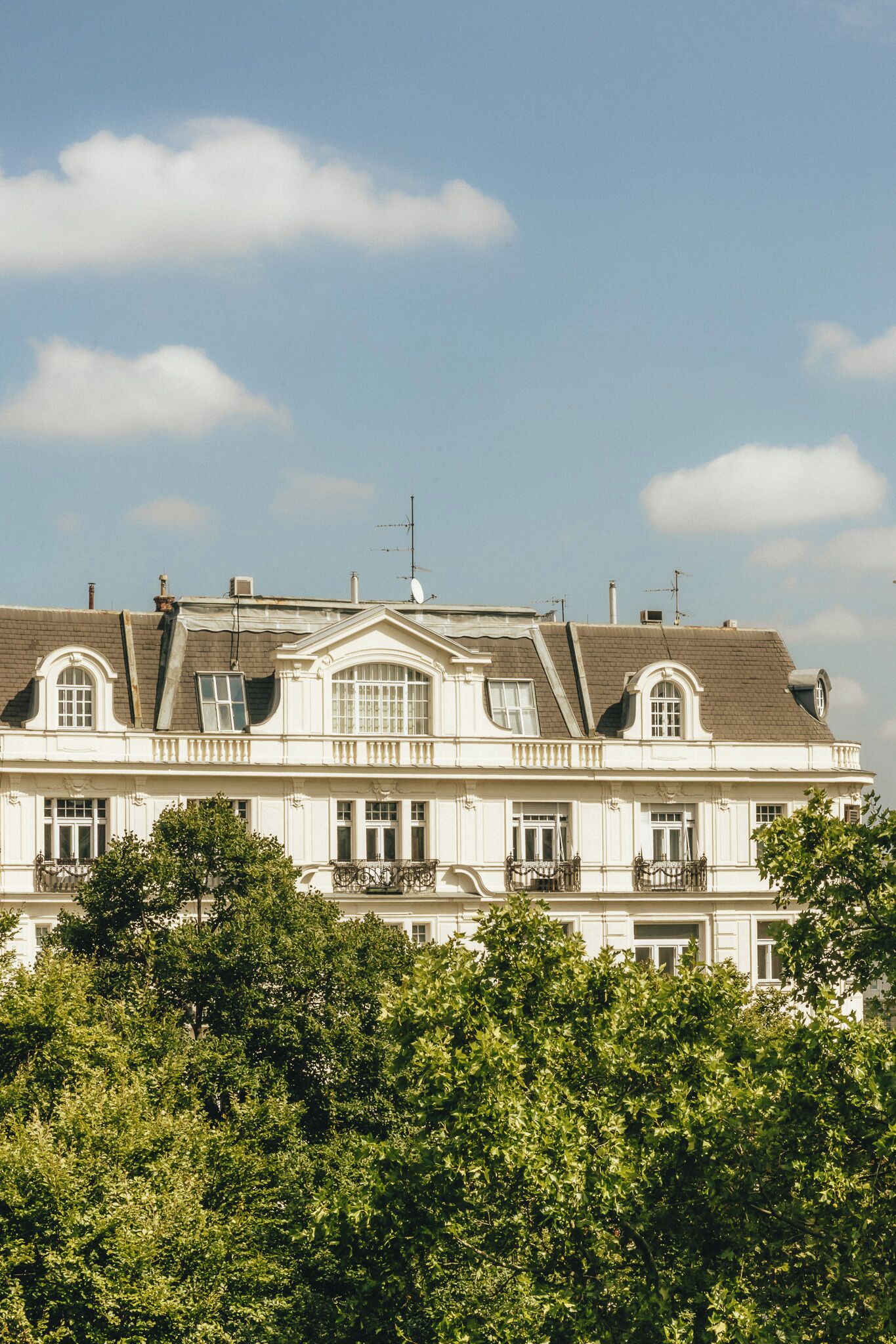 Ein großes, historisches Gebäude mit zahlreichen Fenstern und Balkonen, umgeben von üppigem Grün.