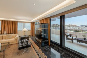 Presidential Suite | View from room