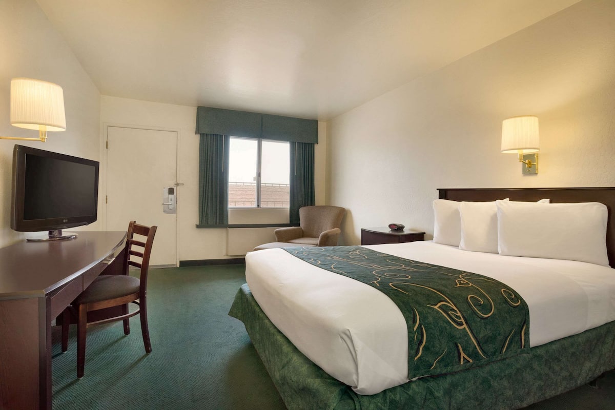 Une chambre d’hôtel comprenant un lit, un bureau avec une télévision, une chaise et deux lampes.