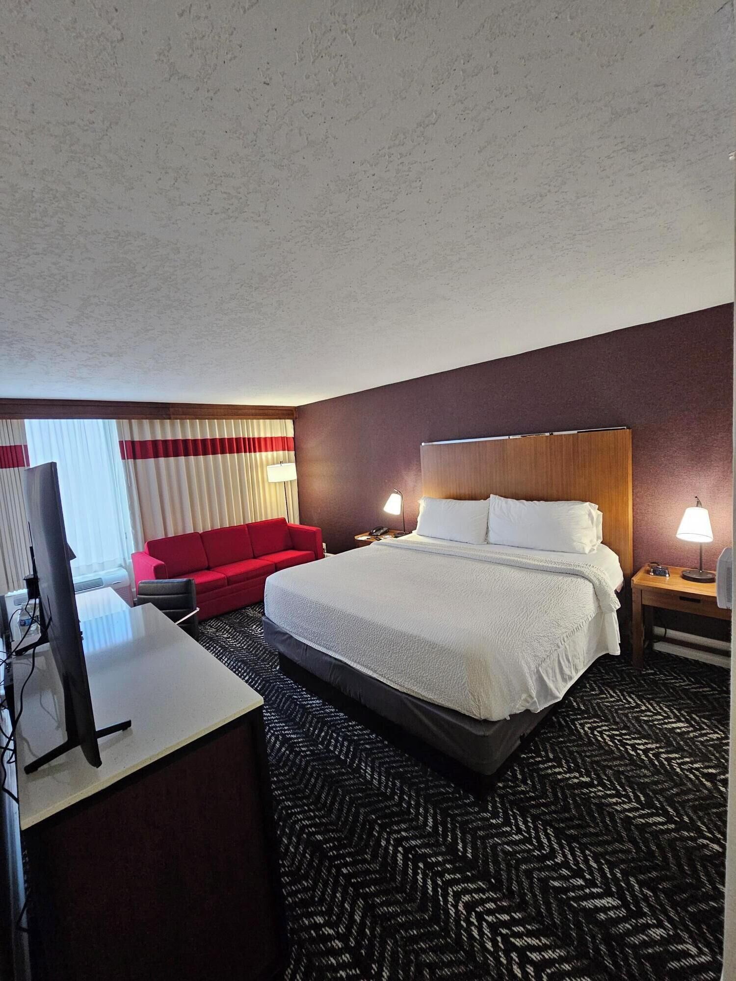 A hotel room with a large bed, a desk with a computer, a red sofa, and a television.