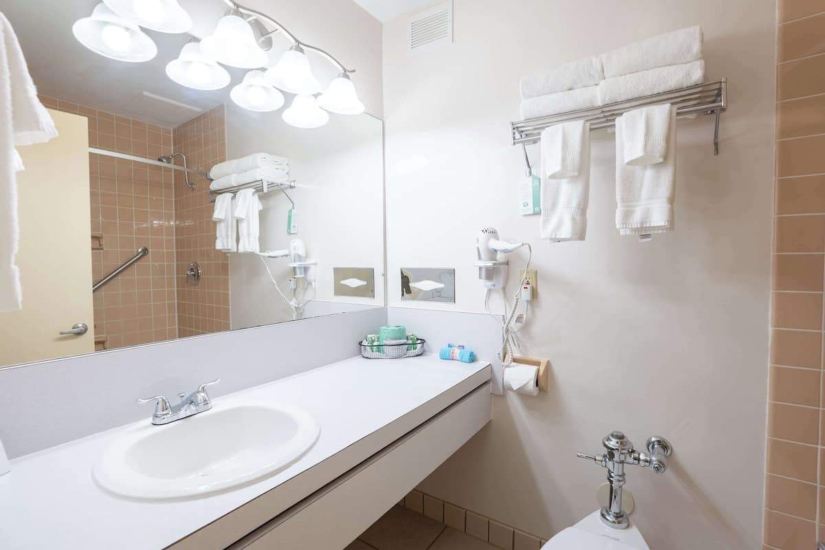 combined shower/bathtub, free toiletries, hair dryer, towels