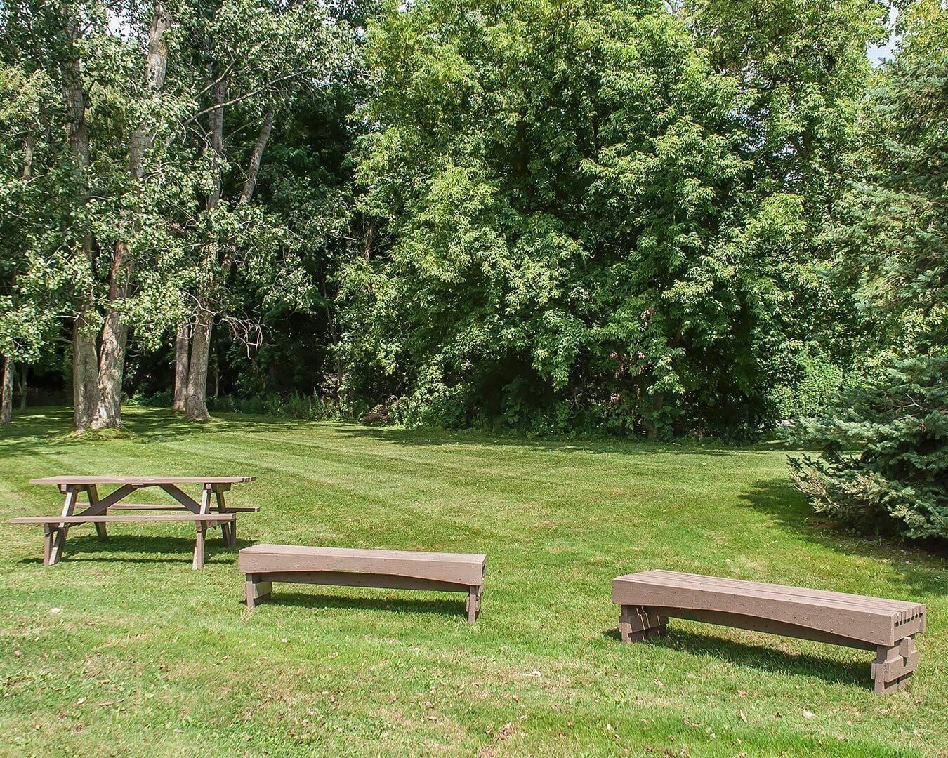 Un espacio con césped, tres bancos de madera y una mesa de picnic.