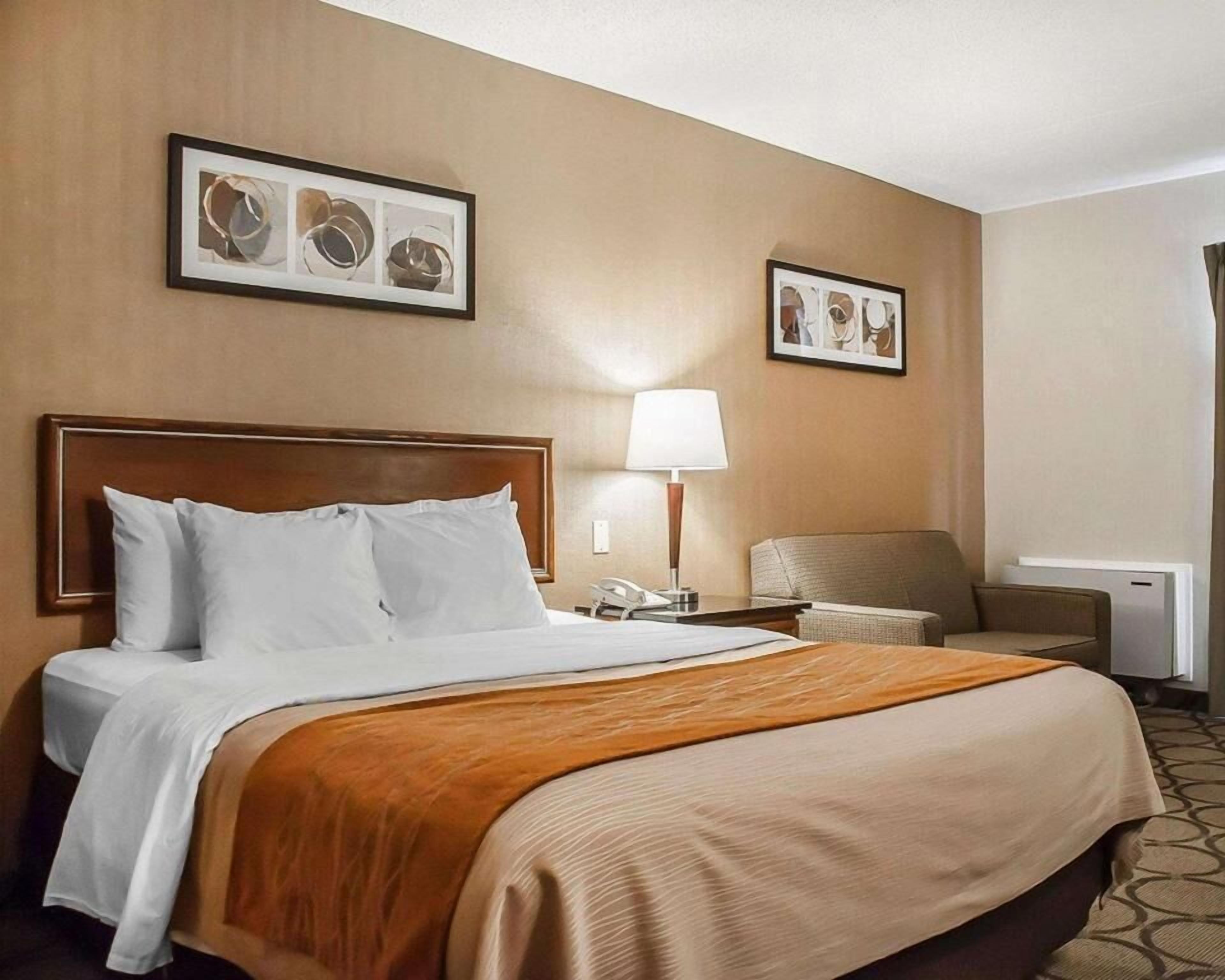 Escritorio, cortinas opacas, tabla de planchar con plancha y wifi gratis