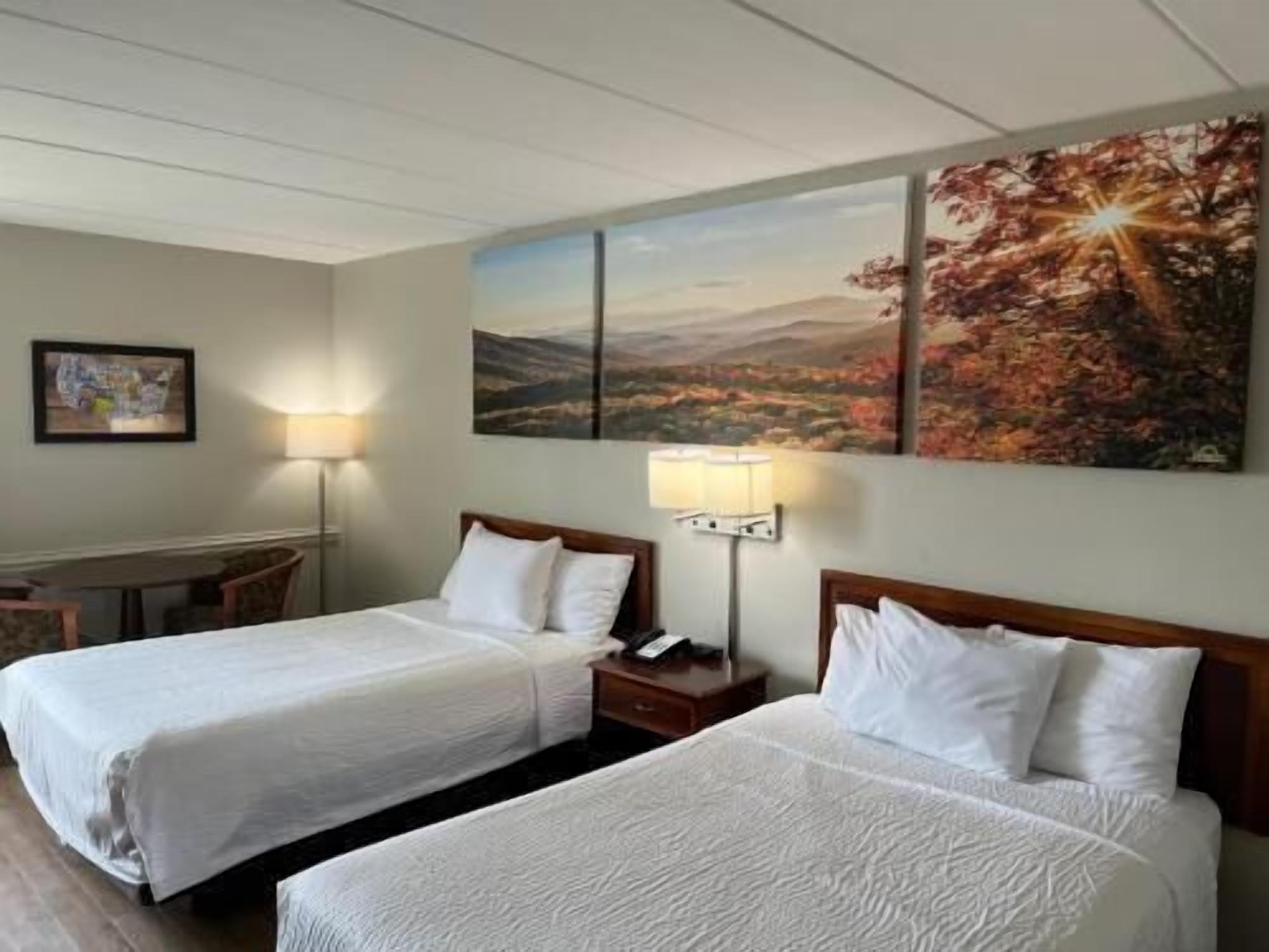 Iron/ironing board, free cots/infant beds, rollaway beds, free WiFi