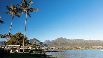 A coastal hotel with palm trees, a pool, and a view of mountains.
