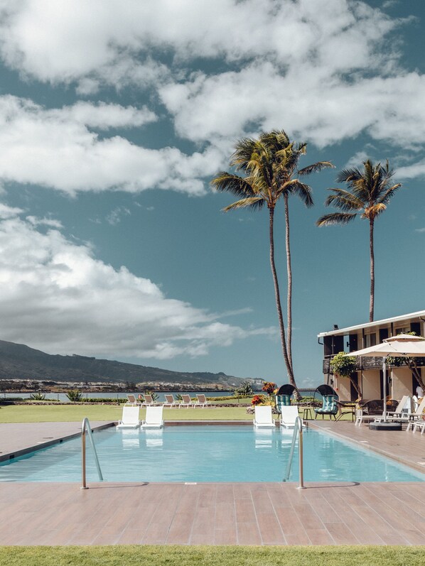 Piscine extérieure, parasols de plage, chaises longues