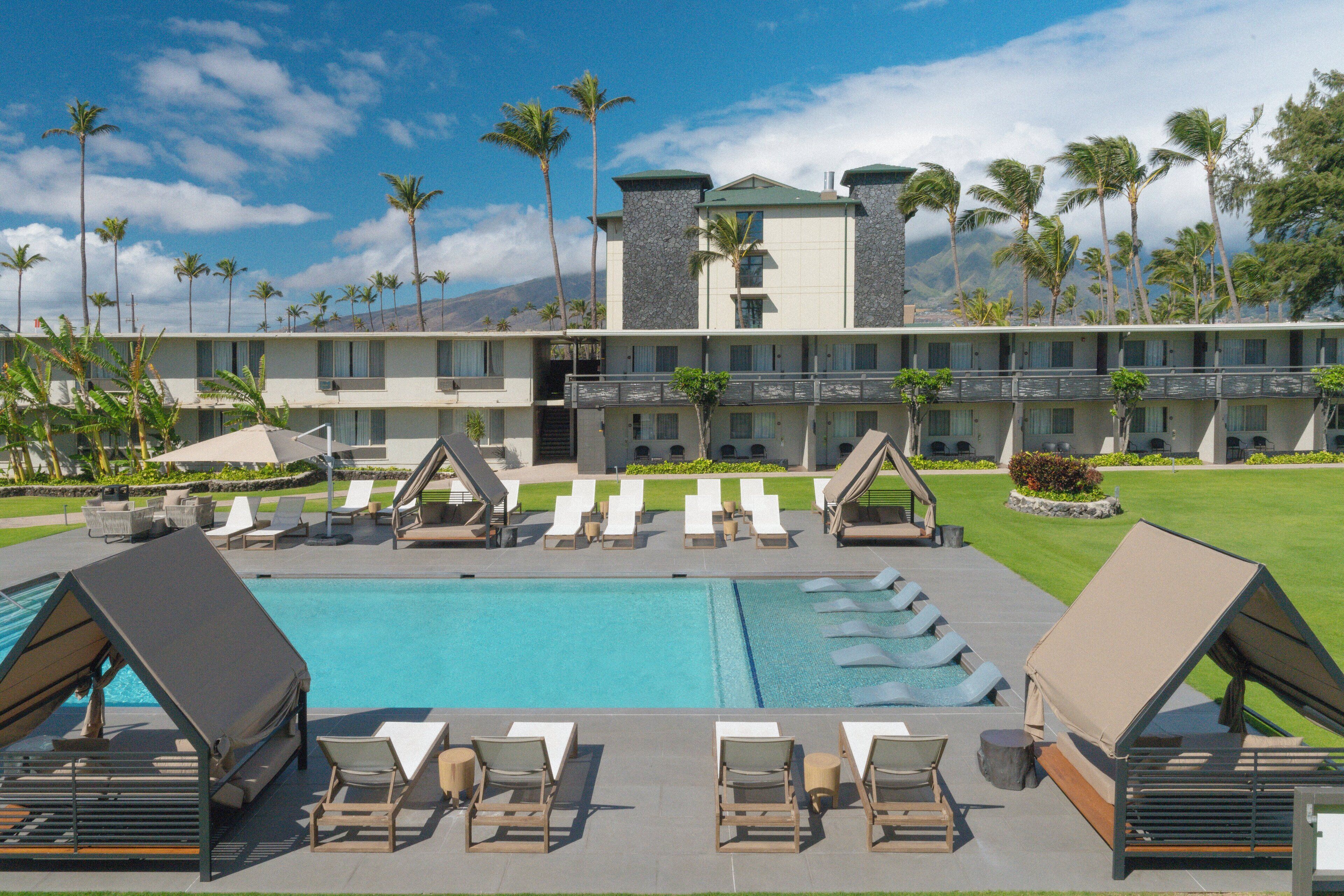 Alberca al aire libre, sombrillas en la alberca y camastros 