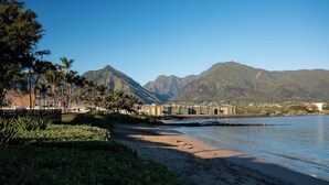 A coastal area with a beach, palm trees, and mountains in the background.