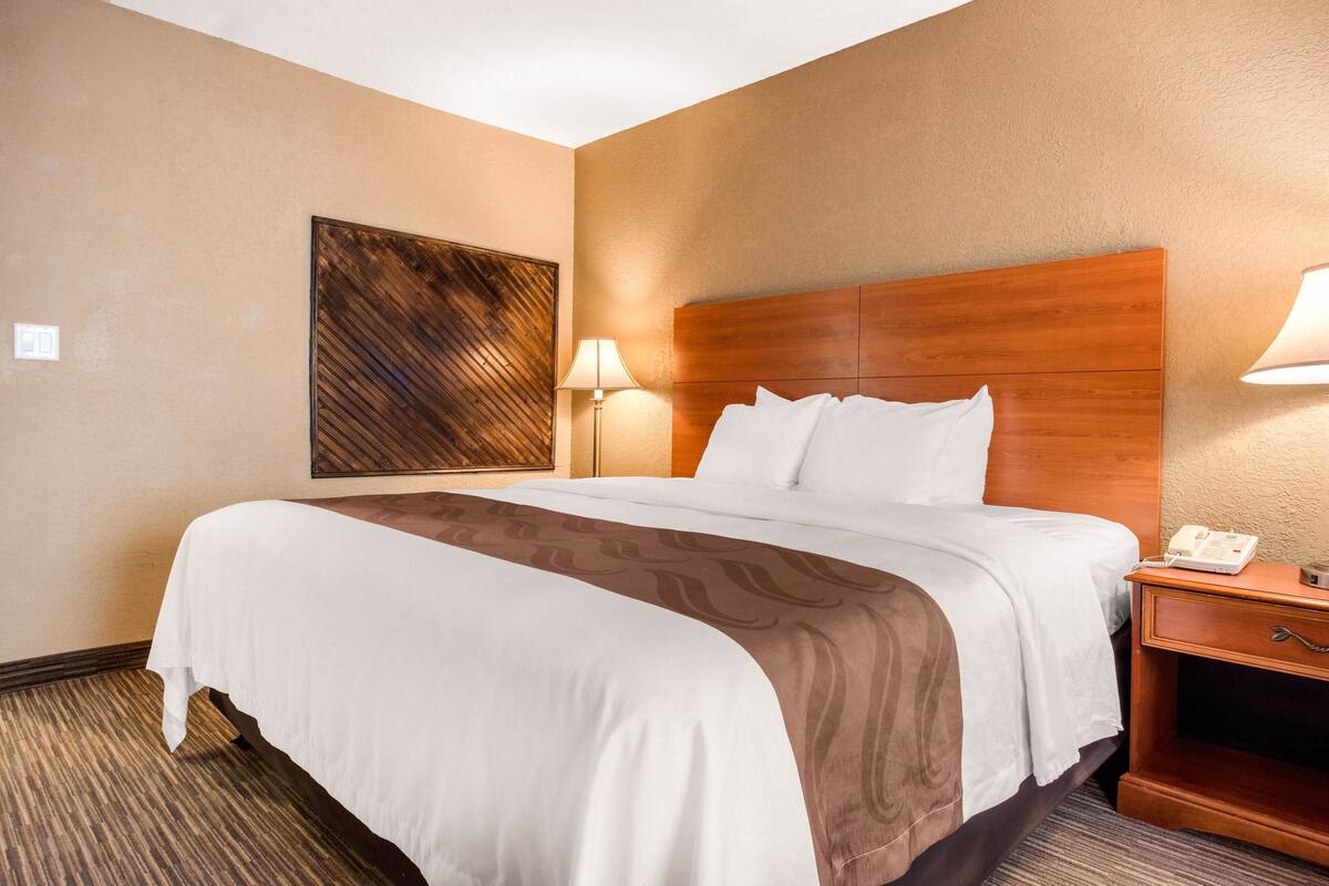 A hotel room with a large bed, a wooden headboard, a bedside table with a lamp, and a wall-mounted artwork.