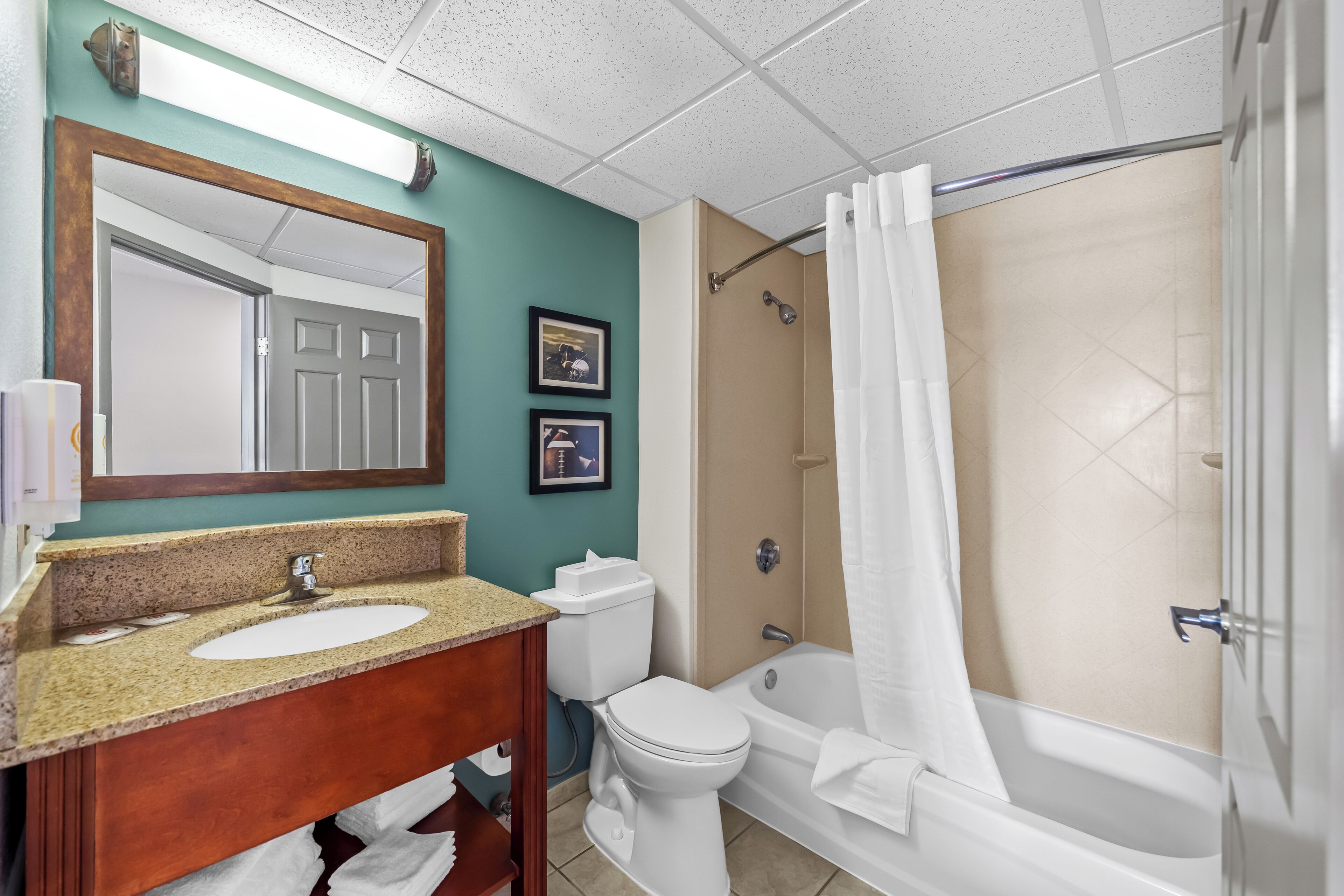 Combined shower/tub, free toiletries, hair dryer, towels