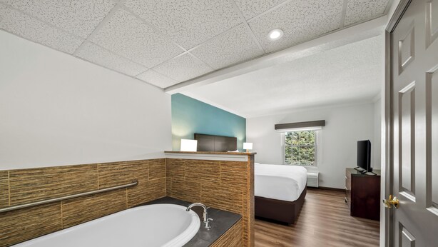 A hotel room with a bathtub, a bed, a television, and a window with a view.
