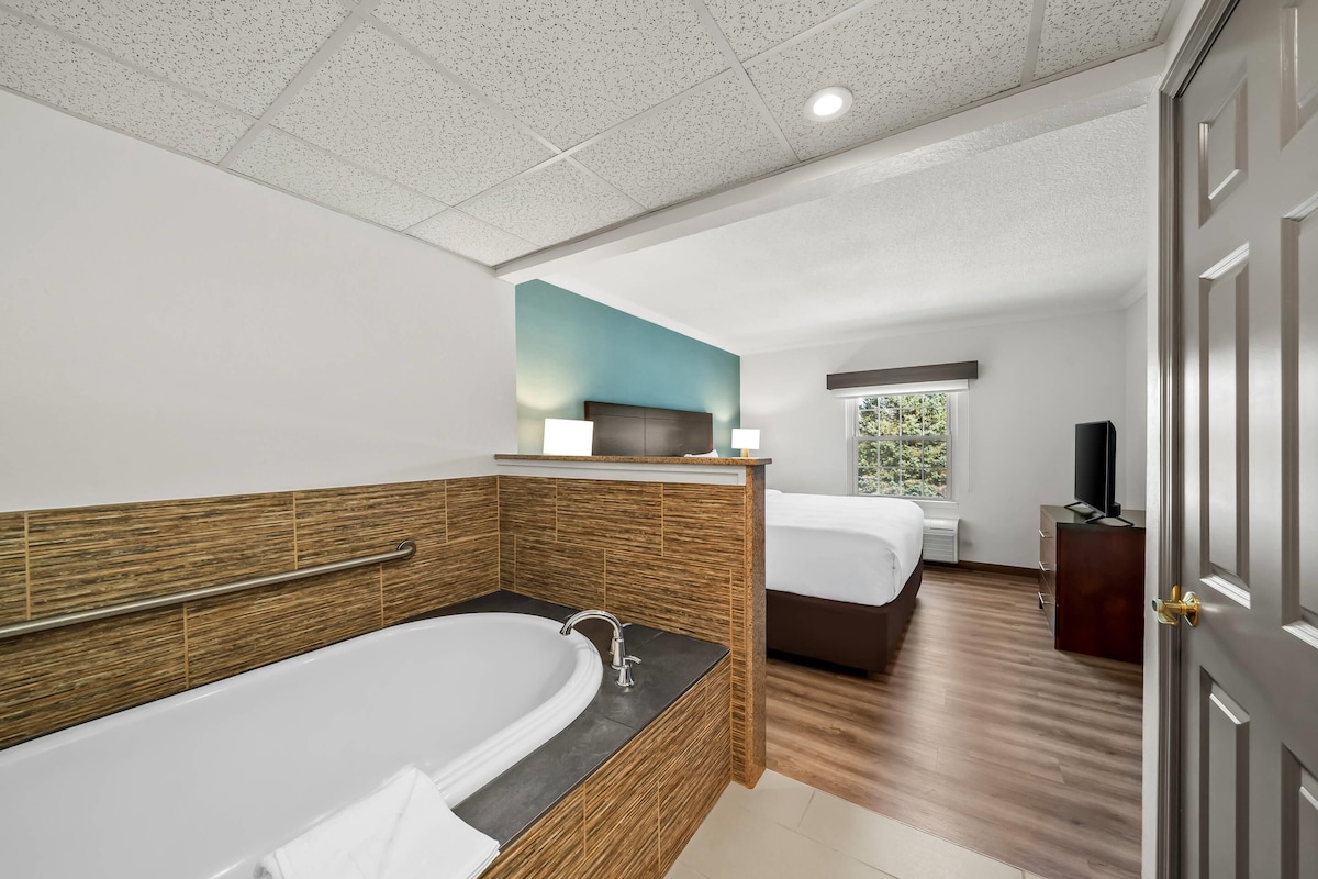 Une chambre d’hôtel avec une baignoire, un lit, une télévision et une fenêtre donnant sur un beau paysage.