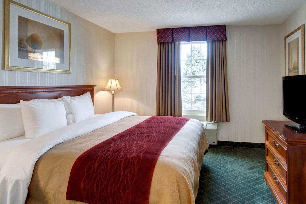 Suite, 1 King Bed, Non Smoking | Desk, iron/ironing board, free cribs/infant beds, rollaway beds