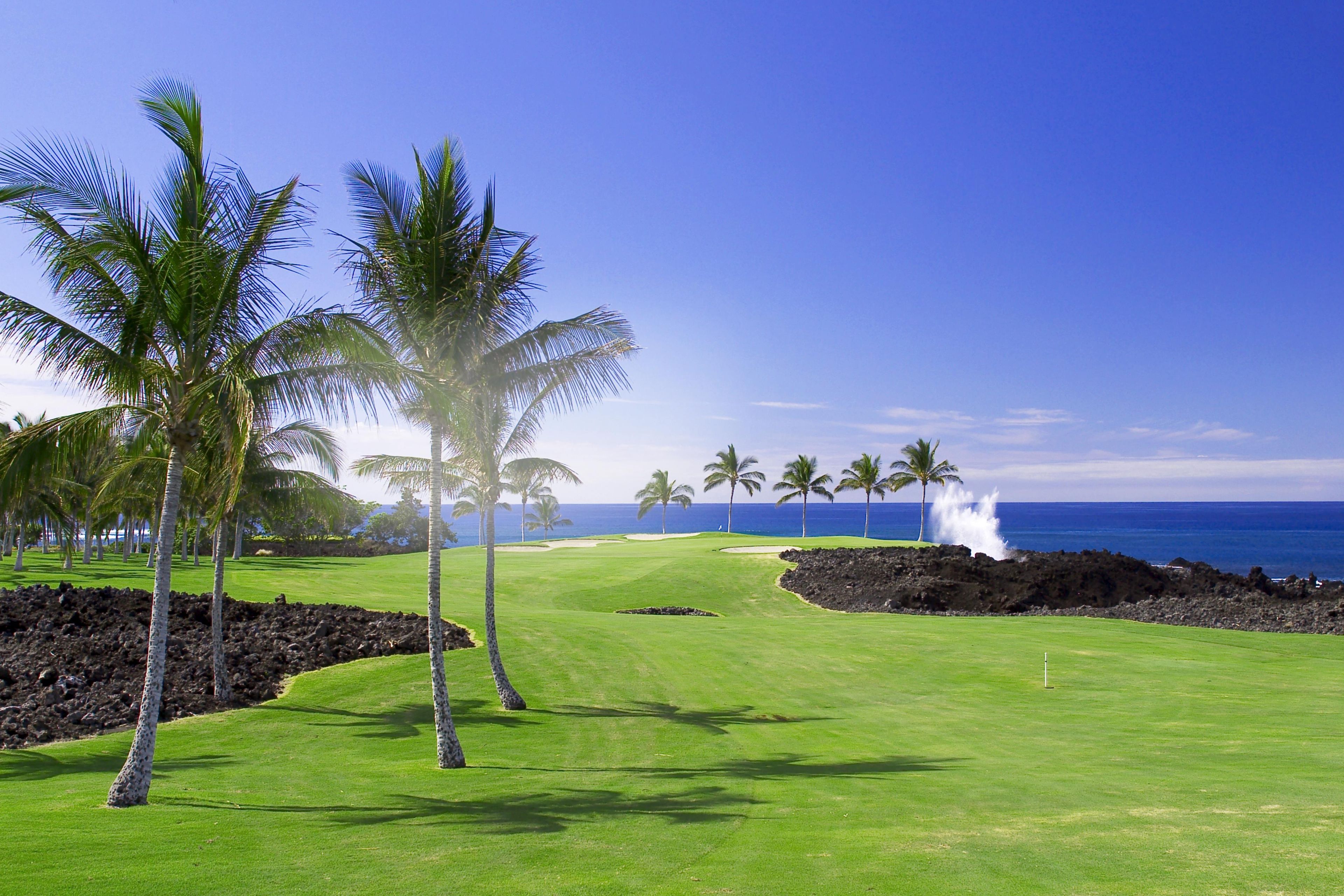 Un campo de golf con vista despejada al océano y palmeras.