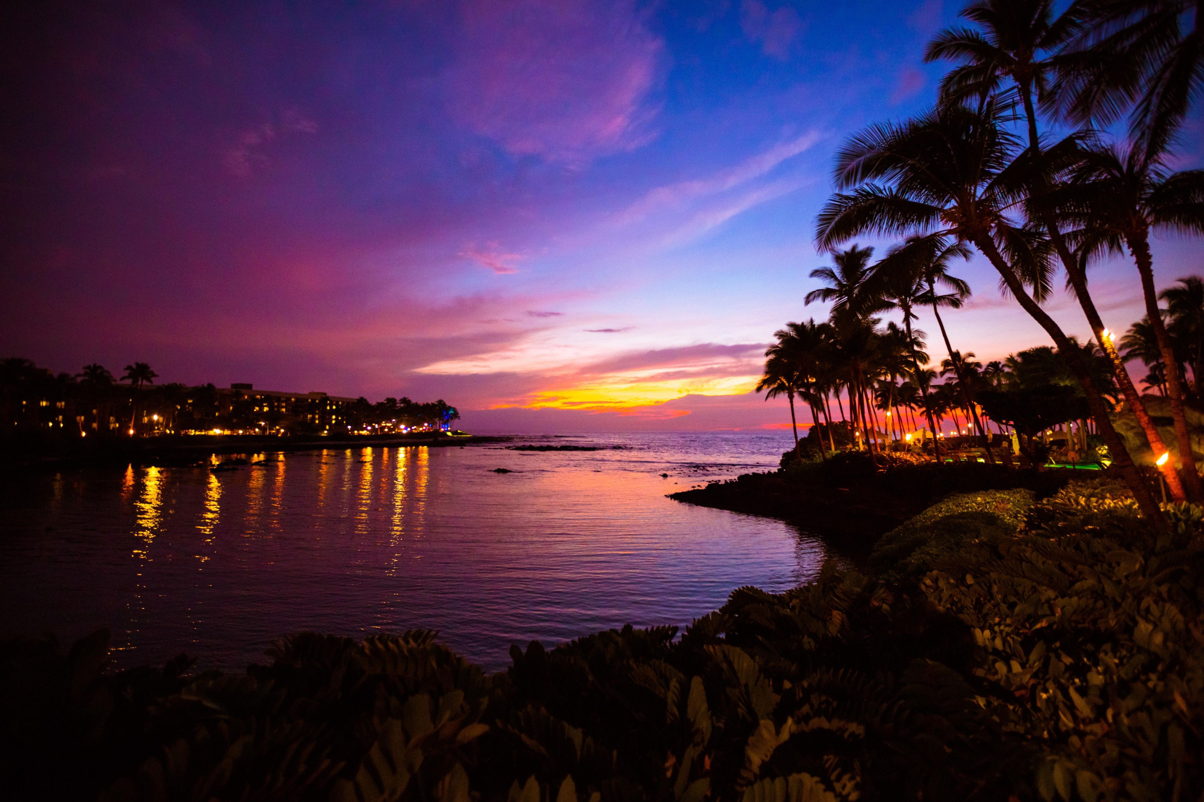 A coastal scene with a sunset, palm trees, and a body of water reflecting lights.
