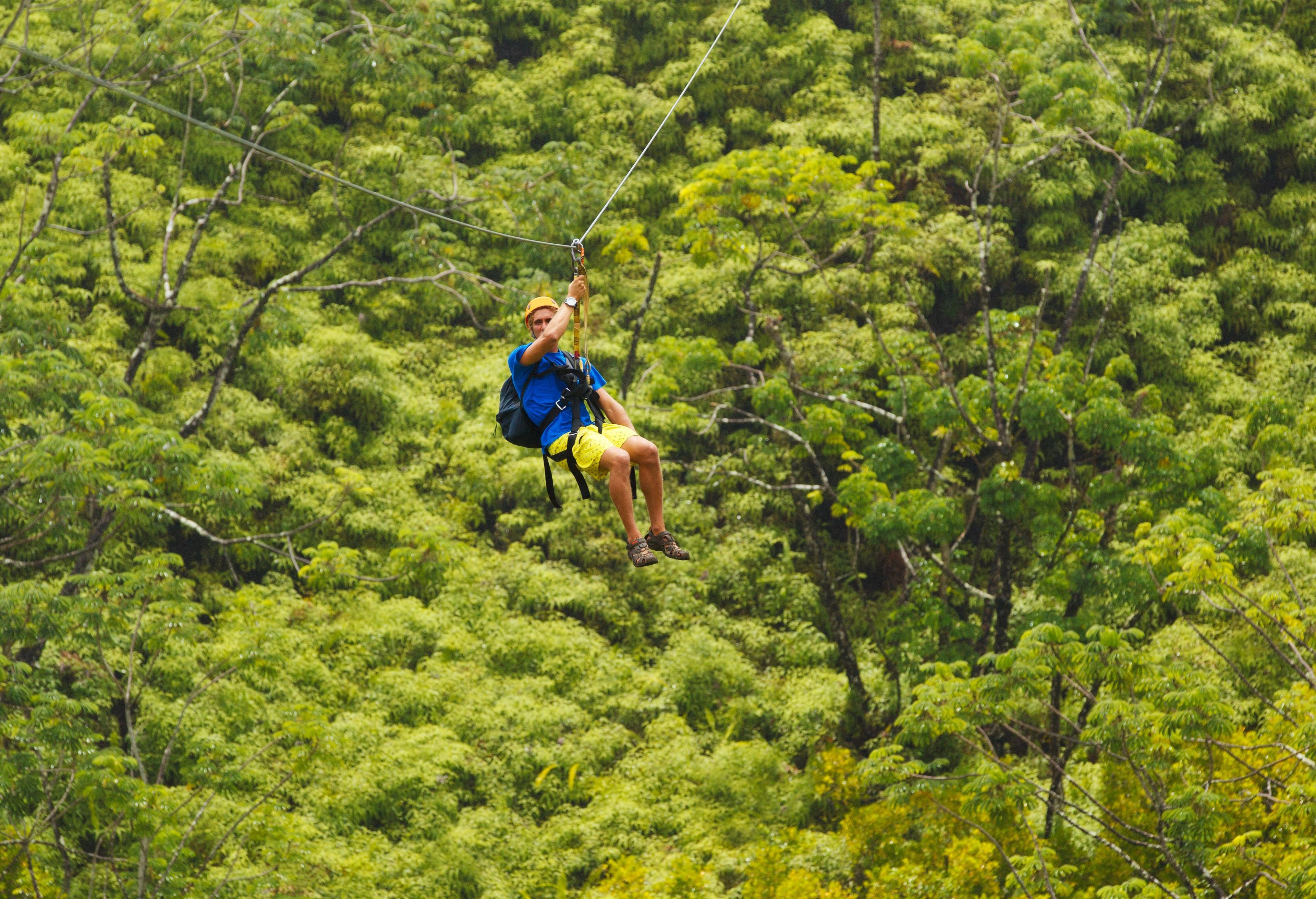 A person zip-lining through a dense, green forest.
