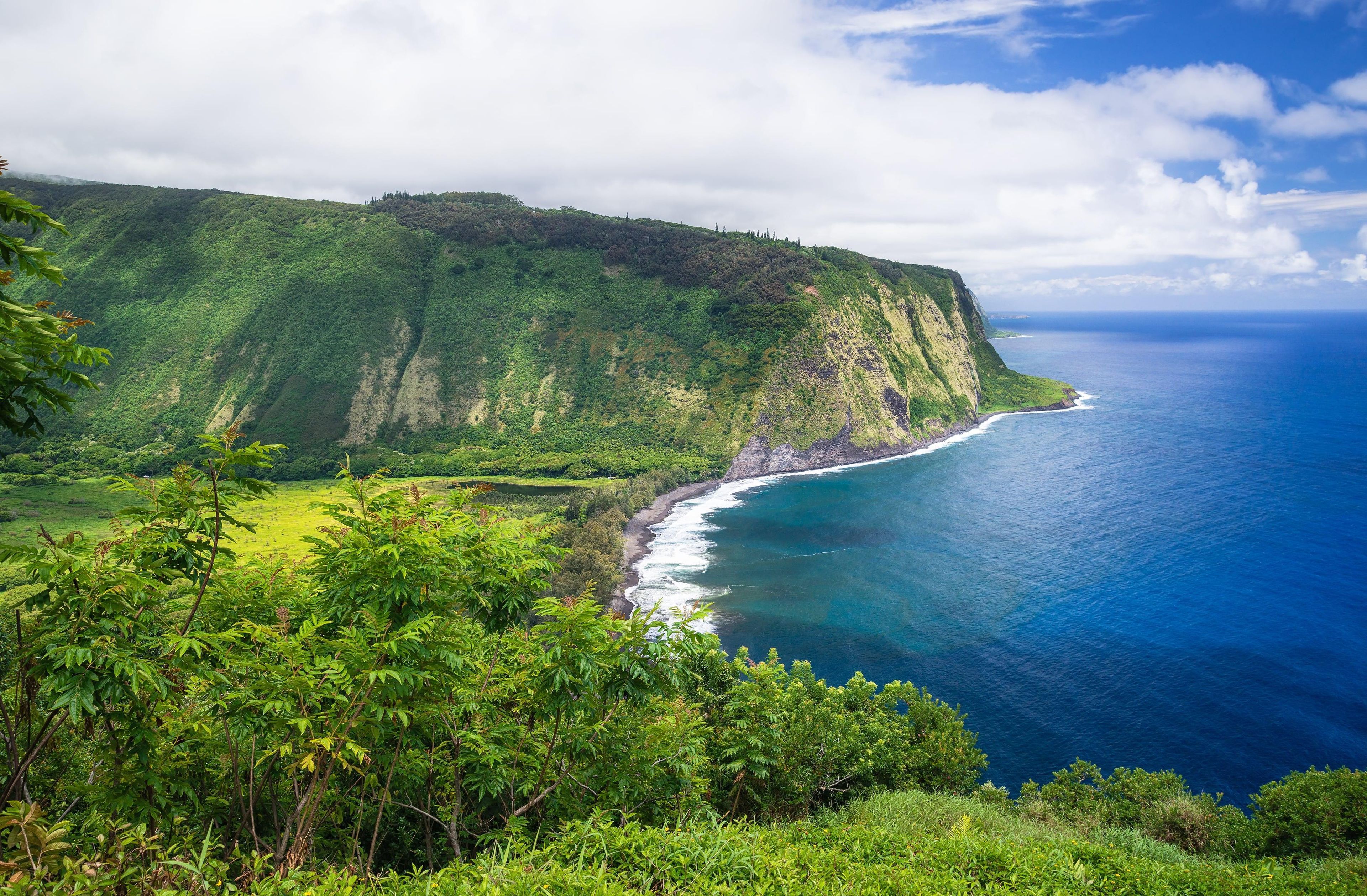 Paisagem costeira com uma colina verde e oceano.