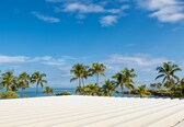 A beach view with palm trees and a clear sky.