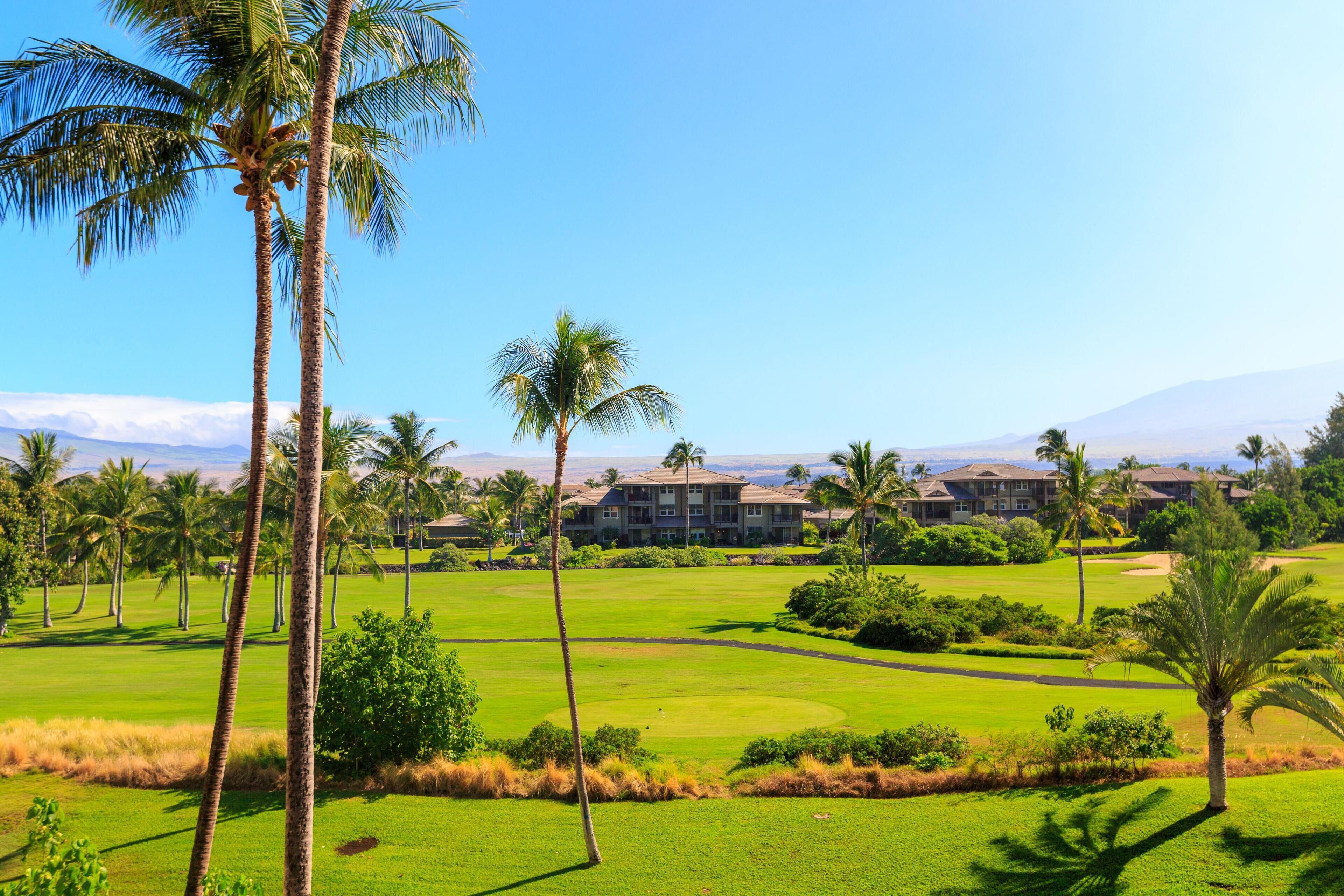 Pemandangan dari kamar