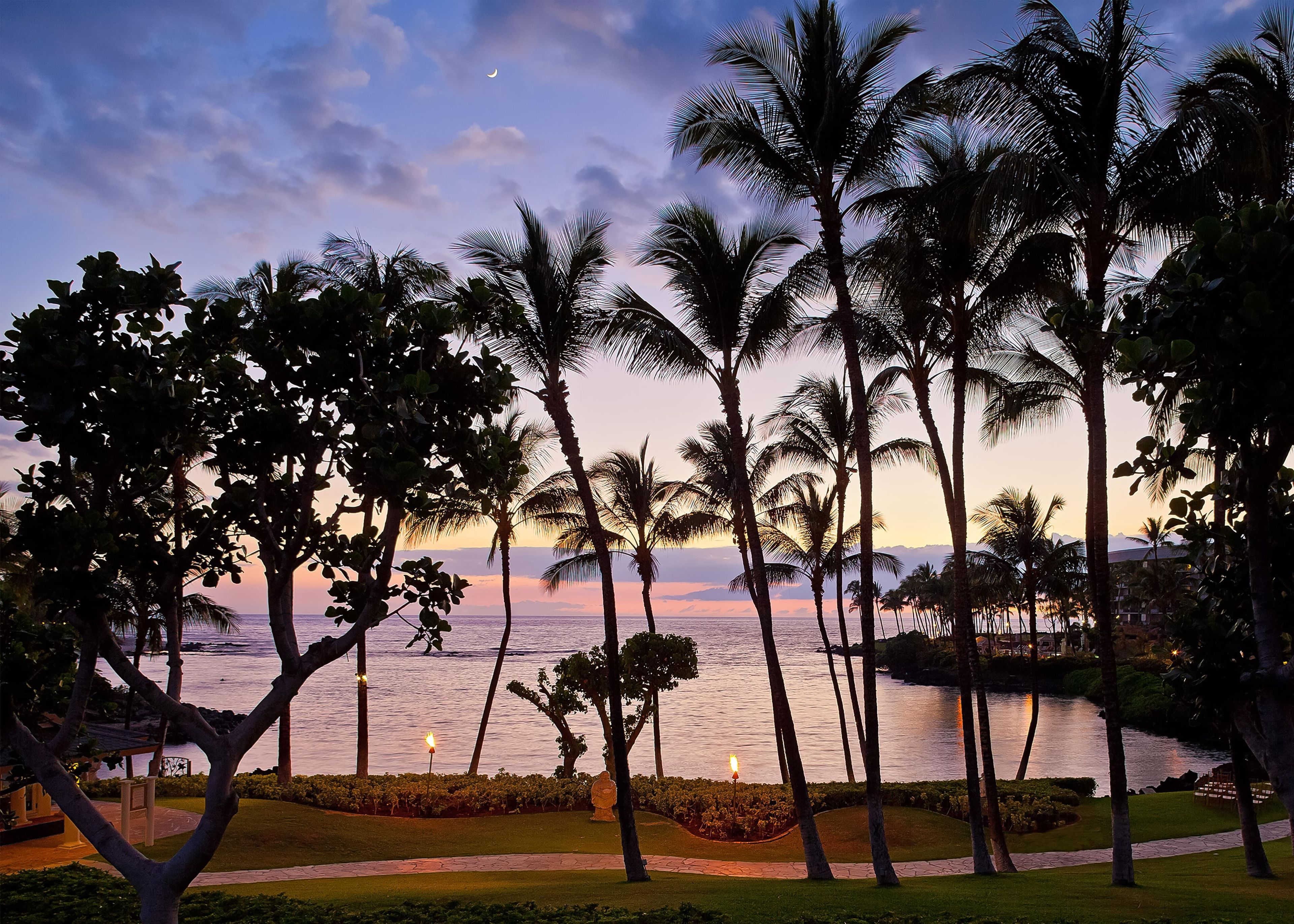 Paisaje tropical con palmeras y una masa de agua durante el atardecer.