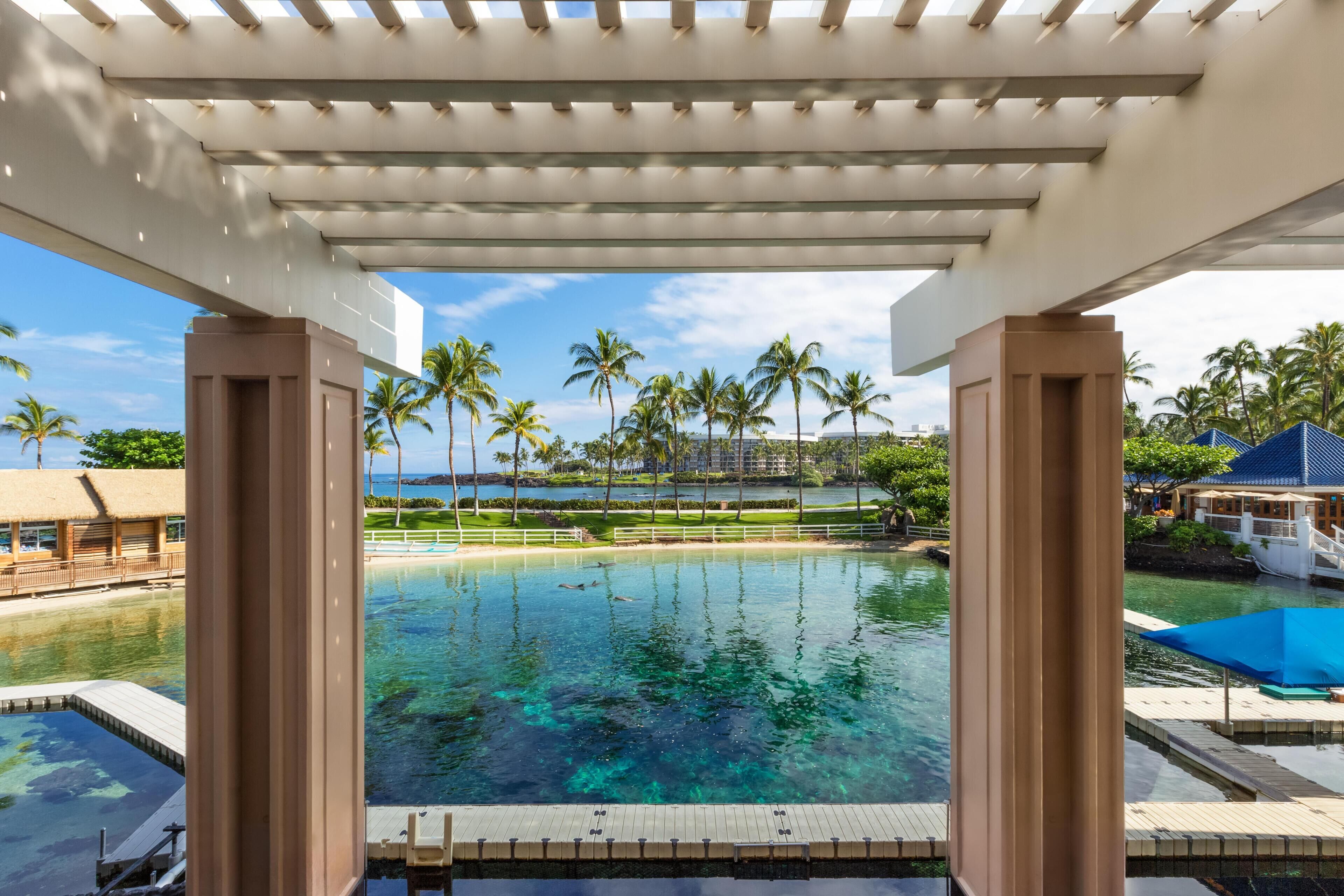Un espace piscine avec une eau claire, des palmiers et une vue sur un bâtiment situé au loin.