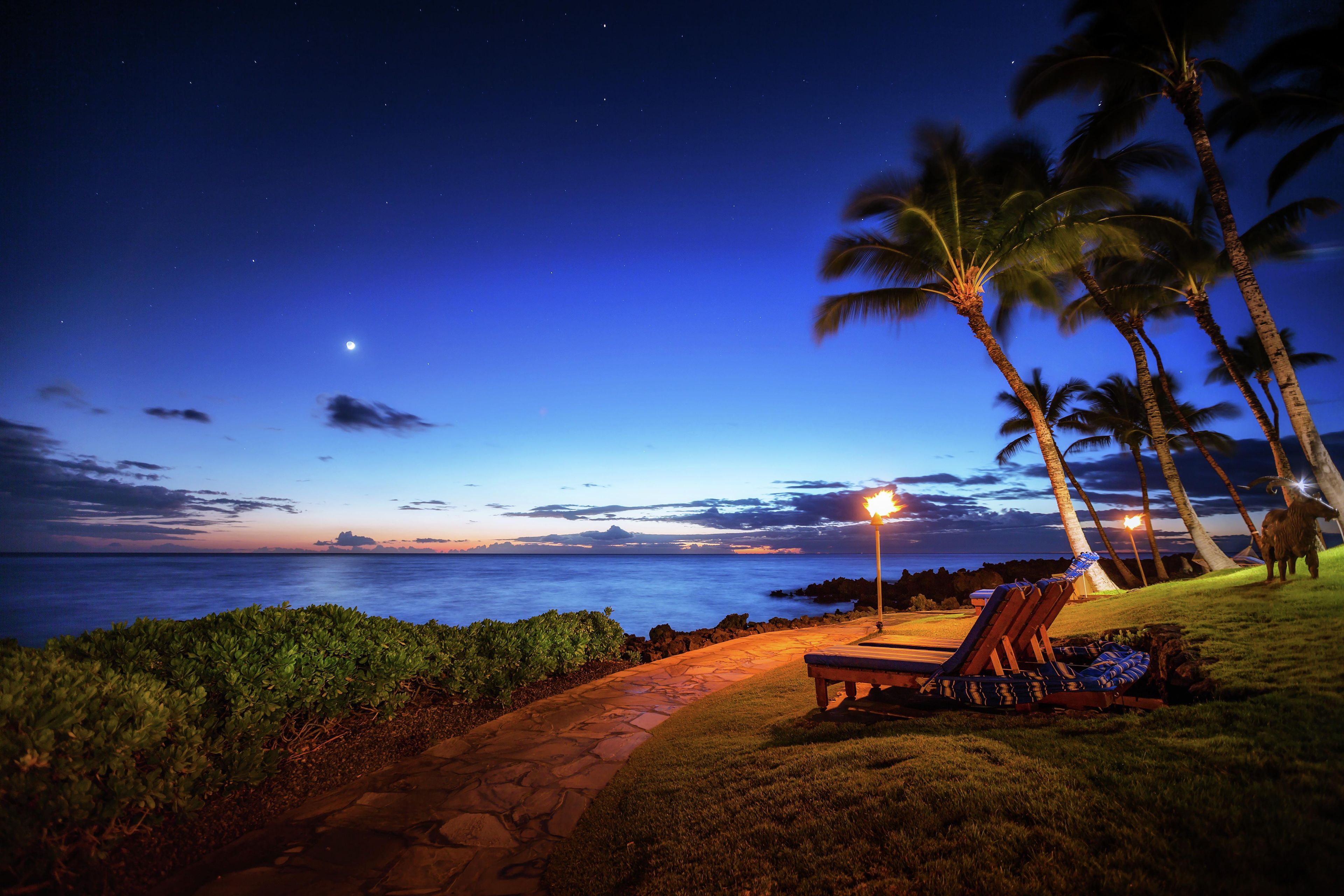 A nighttime beach scene with a pathway, lounge chairs, and palm trees.