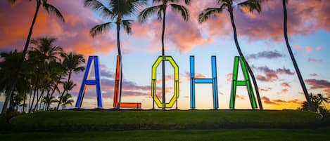 The word 'ALOHA' spelled out in colorful letters on a grassy hill with palm trees in the background.