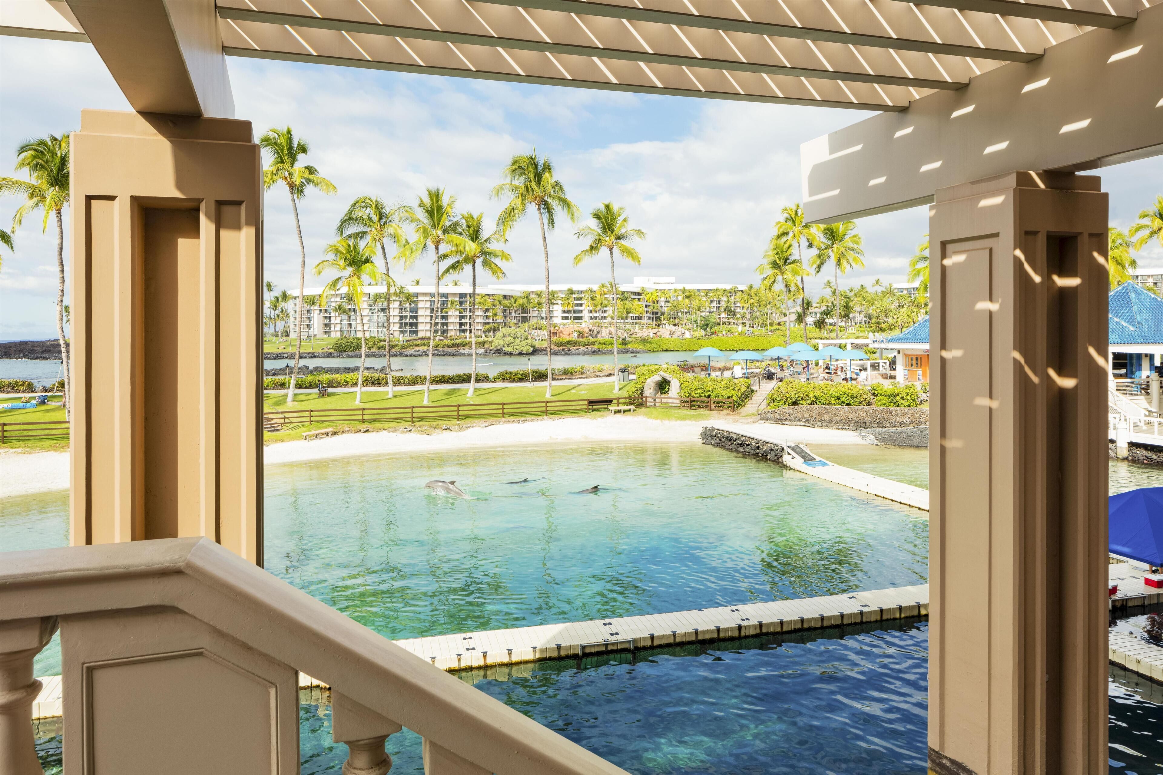 スイート | 部屋からの景観