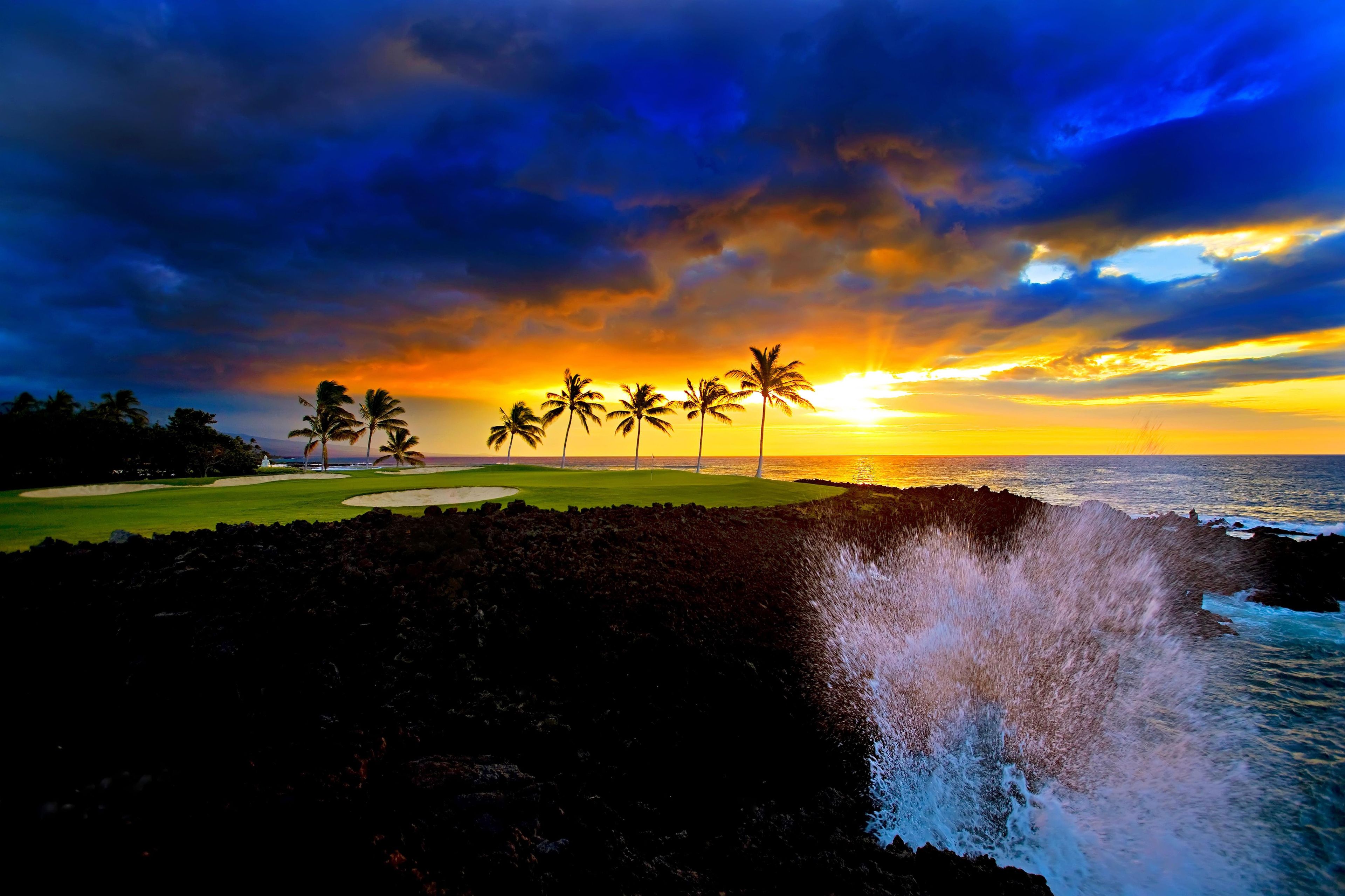 A coastal landscape with a sunset, palm trees, and a rocky shoreline.