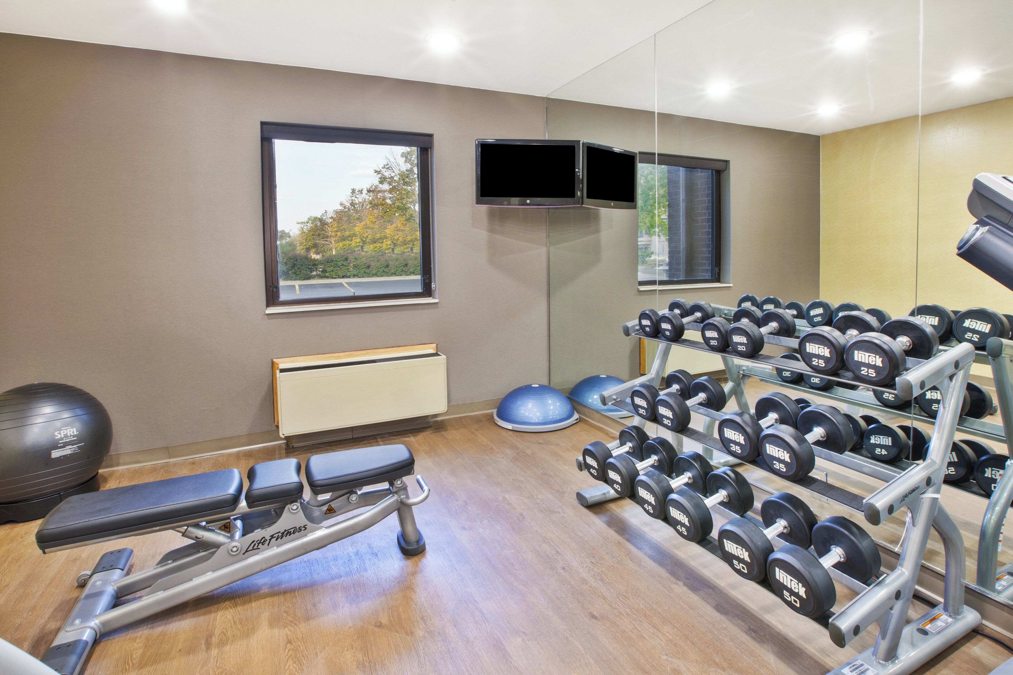 A gym with exercise equipment, a bench, a mirrored wall, and a window with a view of trees.