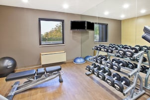 Un gimnasio con equipo de ejercicio, una banca, un espejo grande y una ventana con vistas a árboles.