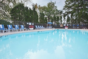 Una piscina con sillas de descanso y sombrillas, rodeada de árboles.
