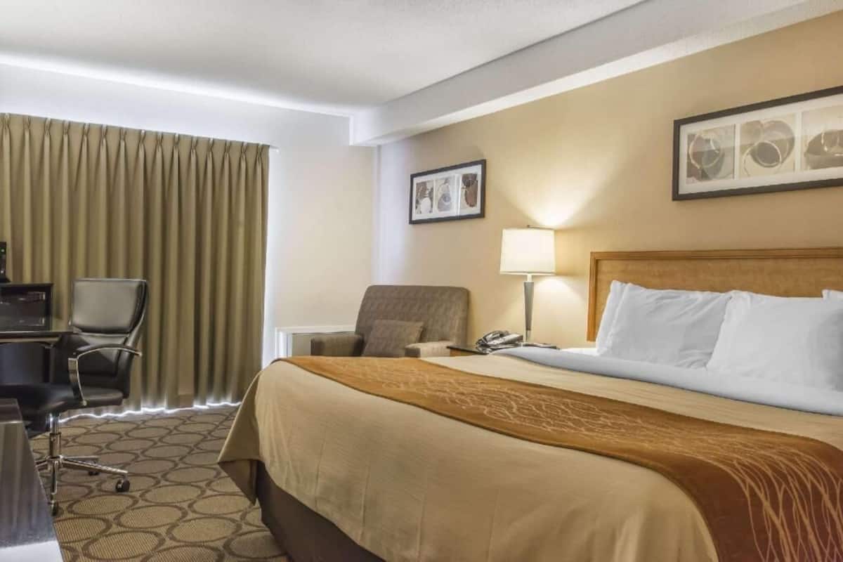 A hotel room with a bed, a desk, a chair, a lamp, and curtains.