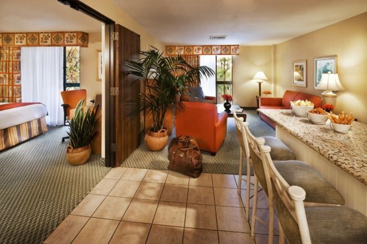 A hotel room with a bed, a sofa, a dining table, a plant, a lamp, and a window.