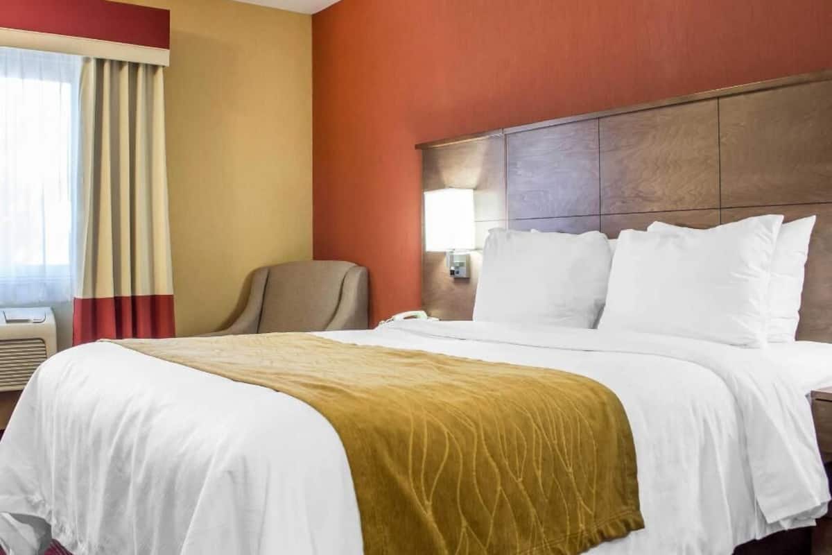 Down comforters, in-room safe, desk, blackout drapes