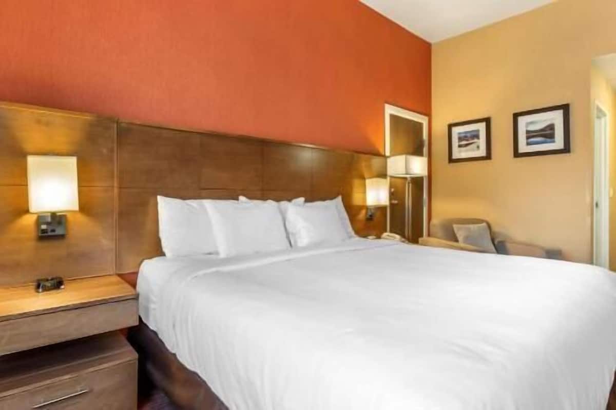 Down comforters, in-room safe, desk, blackout drapes