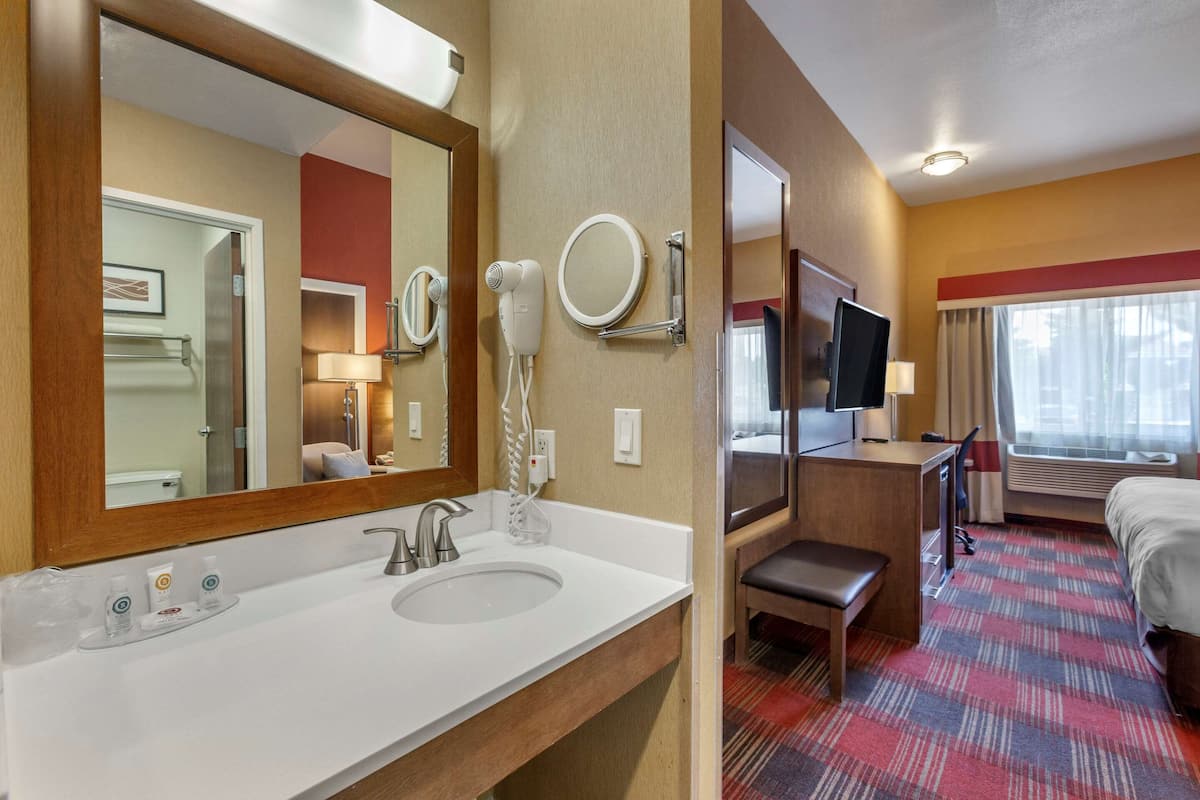 A hotel room with a large mirror, a sink with toiletries, a bed, a desk, and a TV.