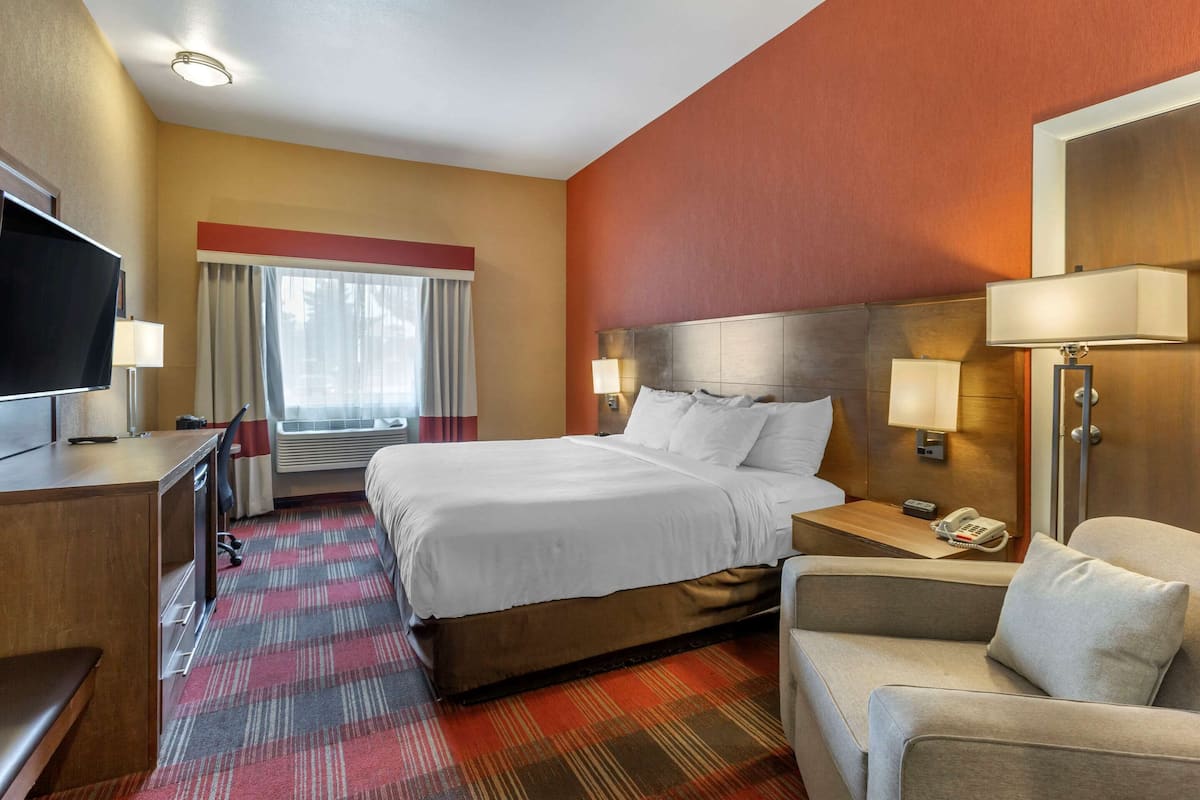 A hotel room with a bed, a desk with a TV, a chair, a nightstand with a lamp, and a telephone.