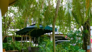 Jardín