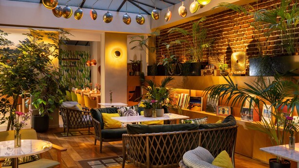 A cozy indoor space with wicker furniture, a brick wall, and various plants.