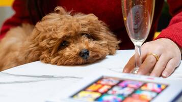 A dog lying on a table with a glass of champagne and a book.