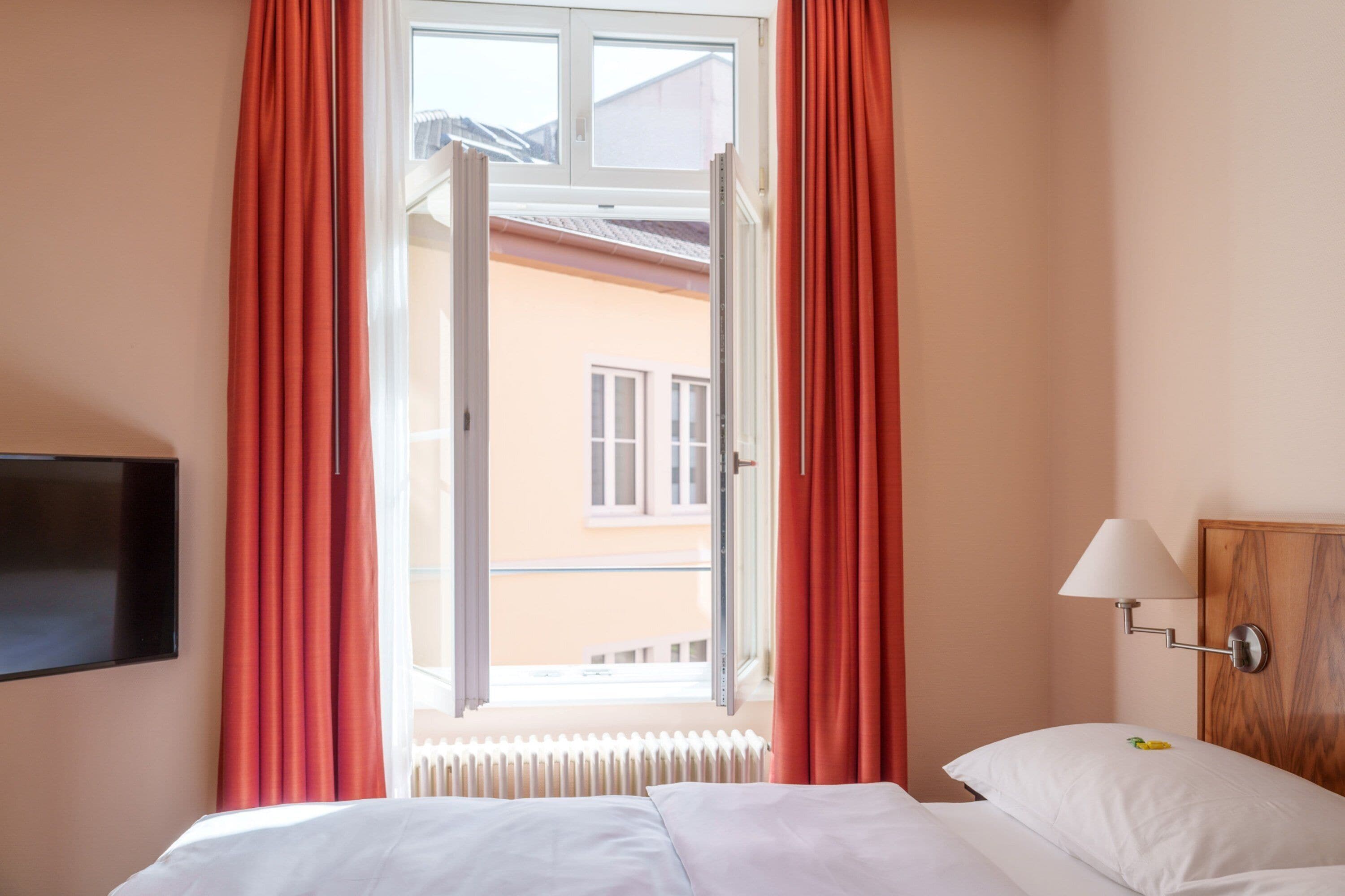 Vista desde la habitación