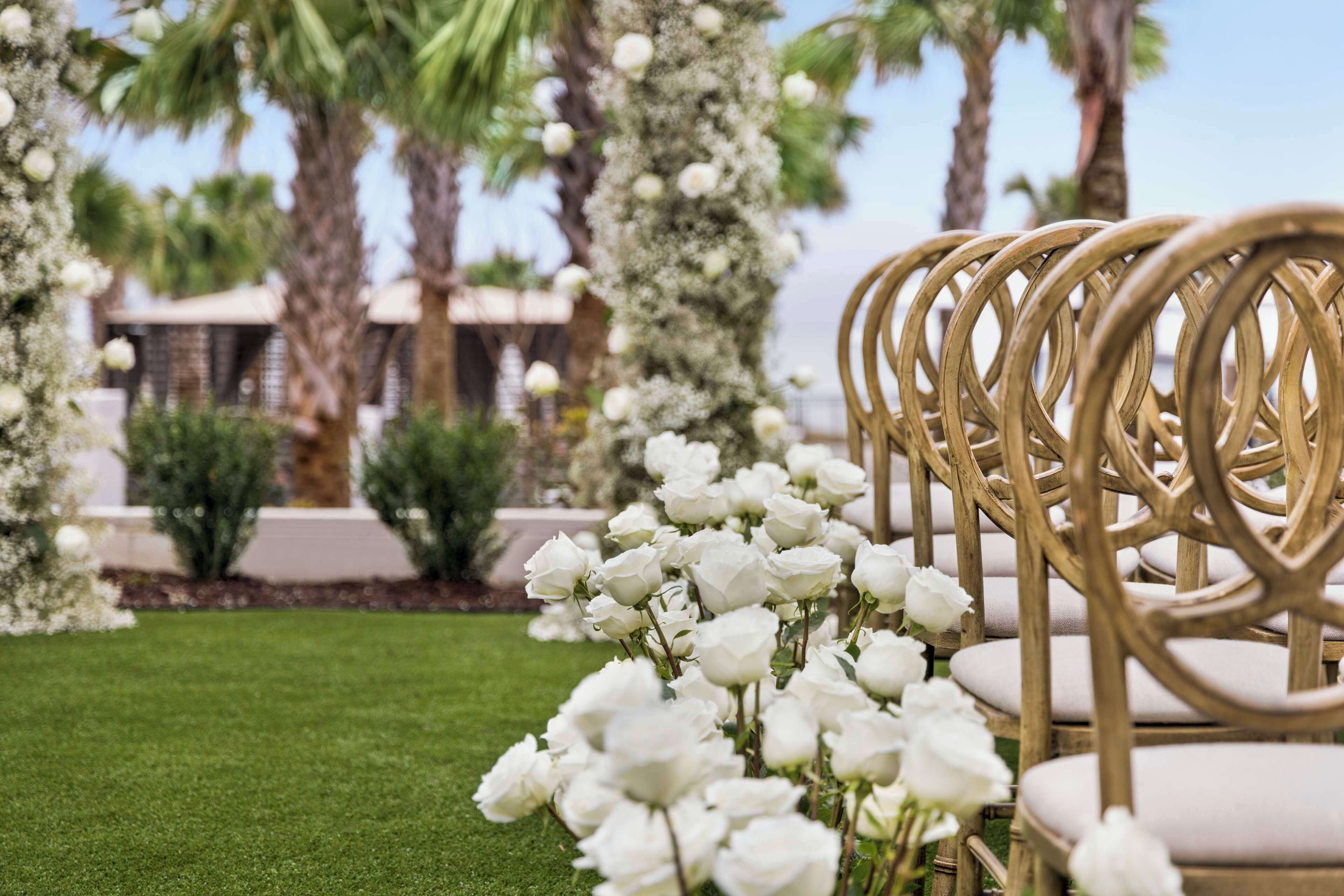 A row of white chairs with cushioned seats and backs, arranged in a line on a well-manicured lawn.